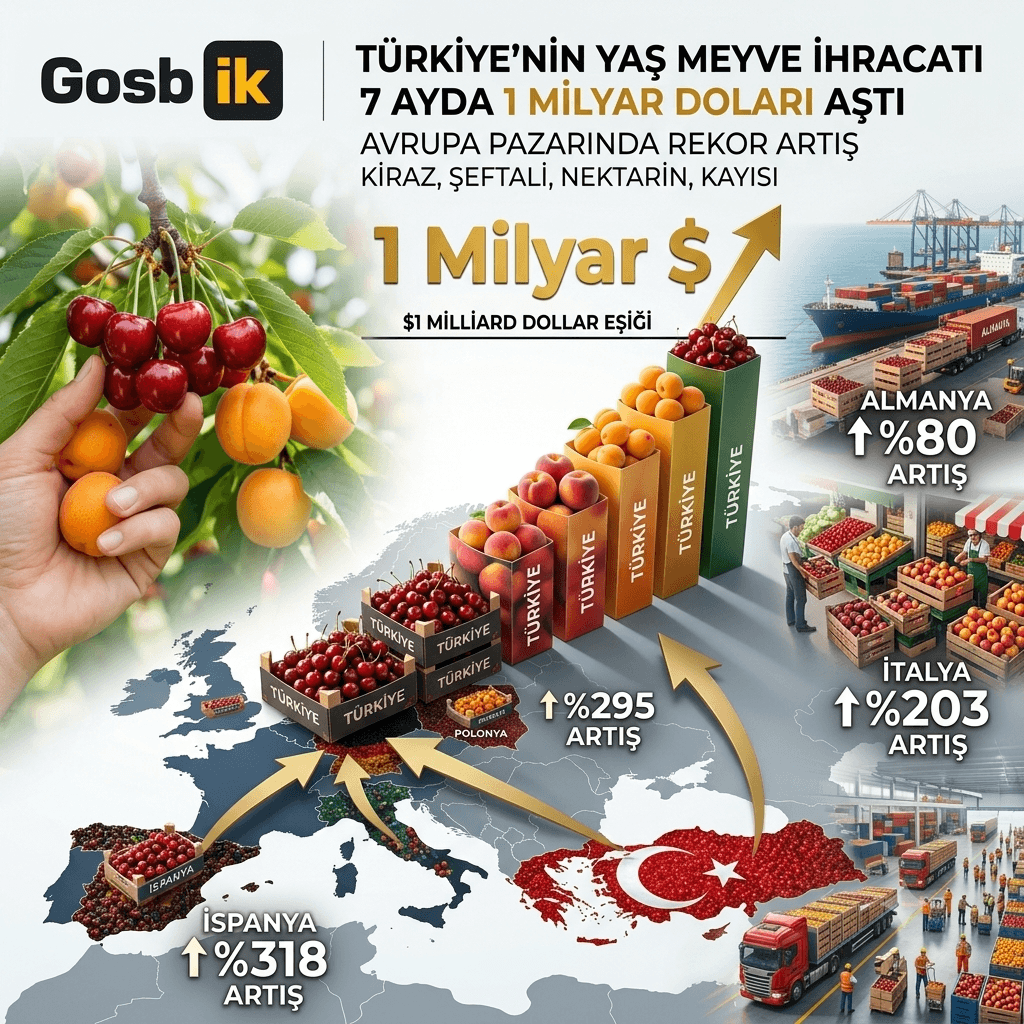 Yaş Meyve İhracatında Tarihi Başarı: Türkiye 7 Ayda 1 Milyar Doları Geçti, Avrupa’da Rekor Artış