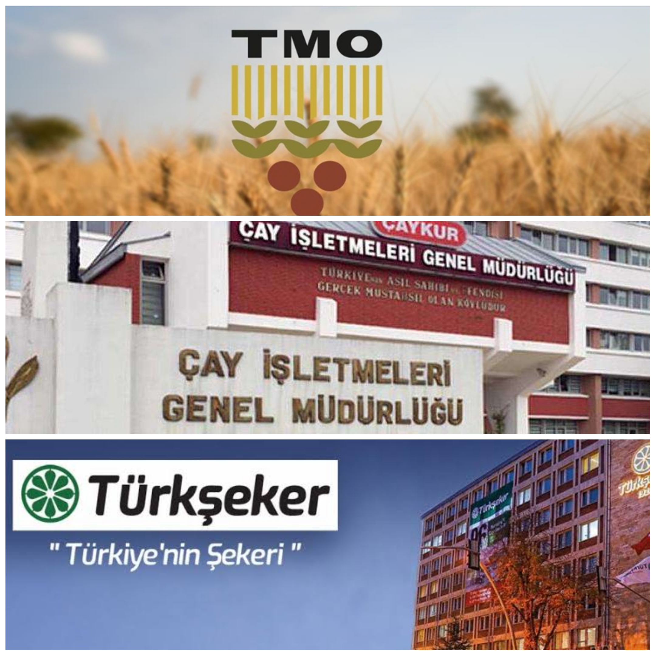 2026’da Tarımda Dev Alım Planı: TMO’dan 5 Milyon Ton Hububat Alımı