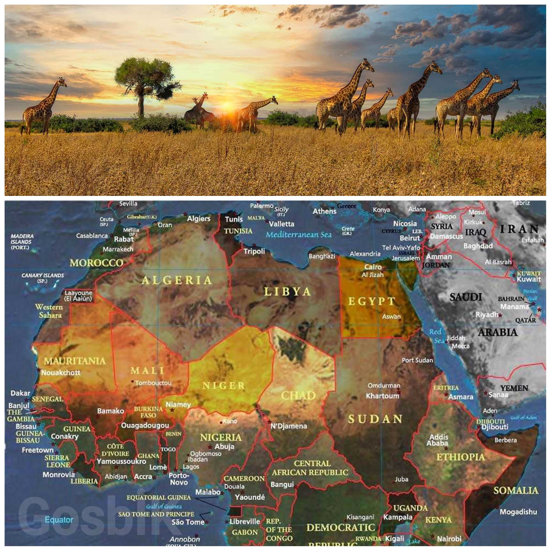 Afrika Küresel Ekonomik Sistemde Neden Giderek Daha Kritik Hale Geliyor?