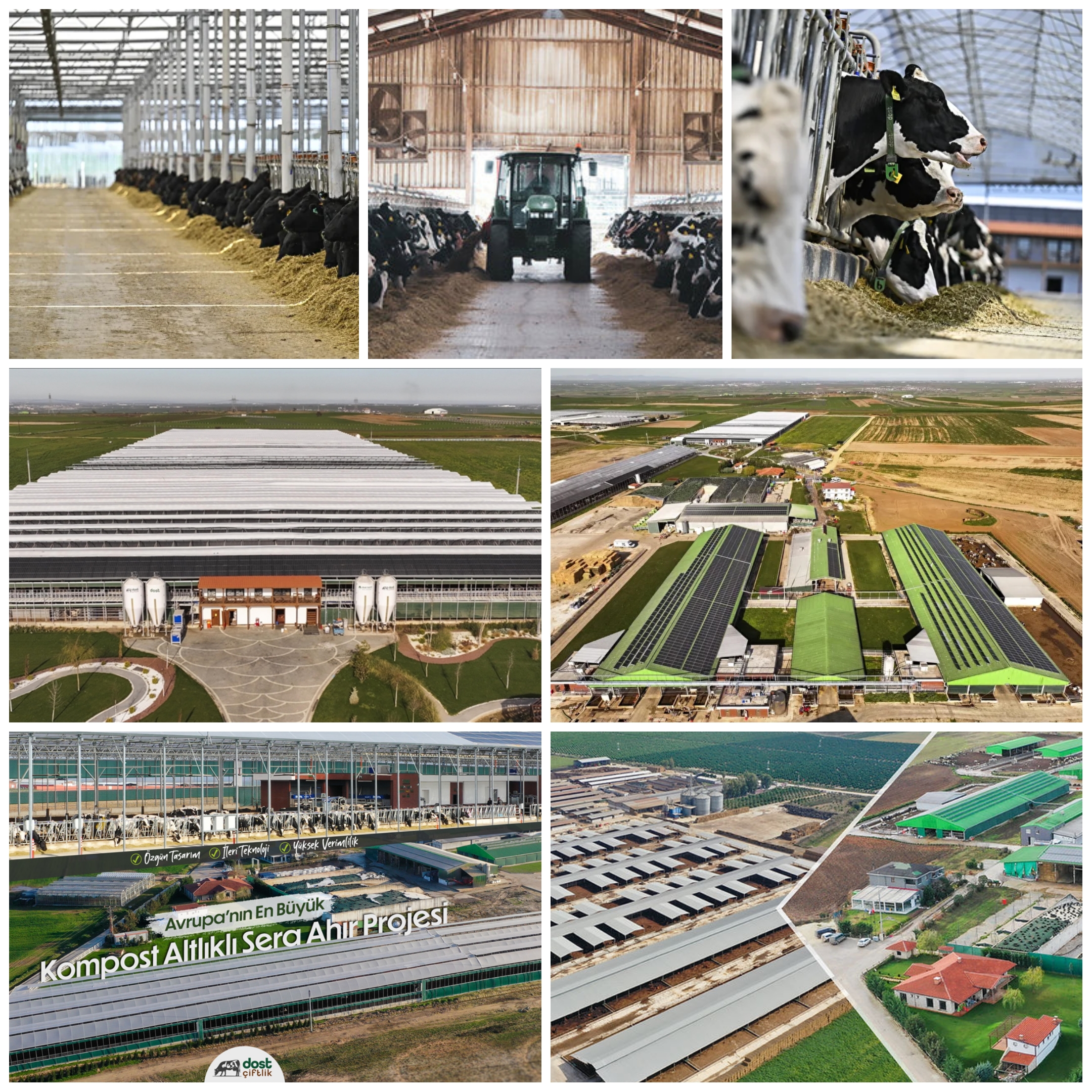 Avrupa'nın en büyük robotlu ve otonom çiftliği hayvancılığı yerli teknolojiyle birleştiriyor