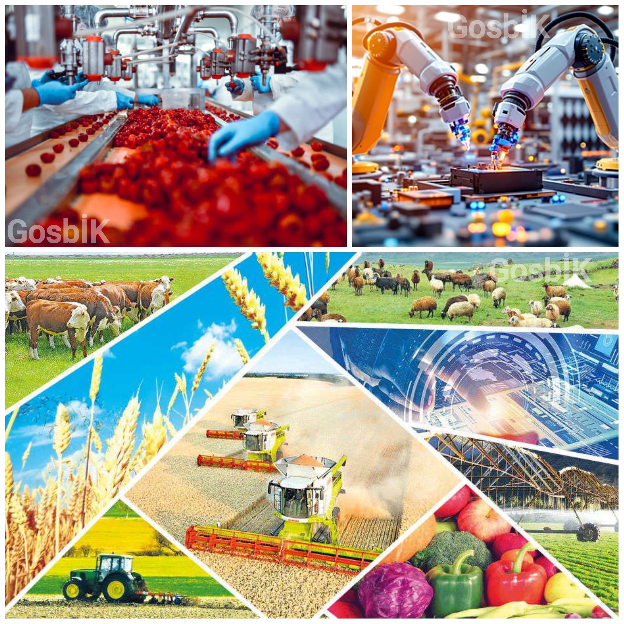 Bölgesel Kalkınmaya 15,6 Milyar TL’lik Dev Hamle: Türkiye Üreten Şehirler Modeline Geçiyor