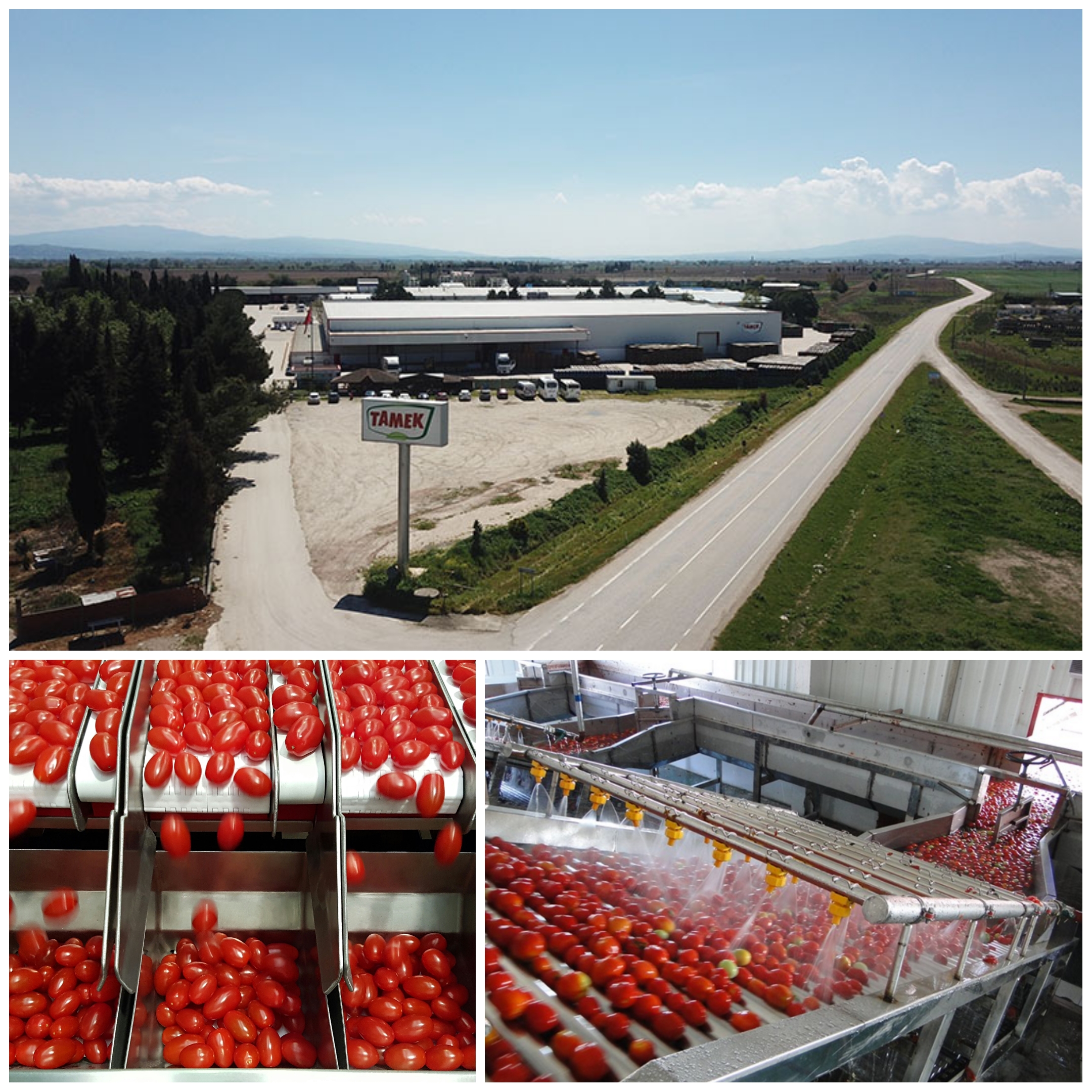 Bursa’da Gıda Sanayisine Dev Hamle: 4,6 Milyar TL’lik Yatırımla Yeni Üretim Hattı Kuruluyor🏭