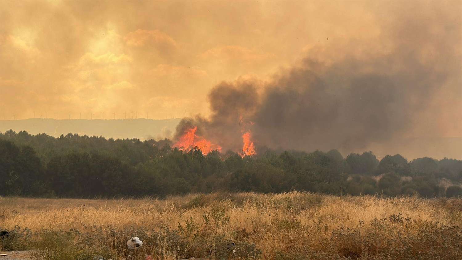 Çanakkale’yi kara dumanlar kapladı! Alevler ÇOMÜ yerleşkesine yaklaşıyor