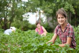 Gençlere ‘Köye Dönüş’ desteği yolda: Bedelsiz arazi, kredi ve konut fırsatları