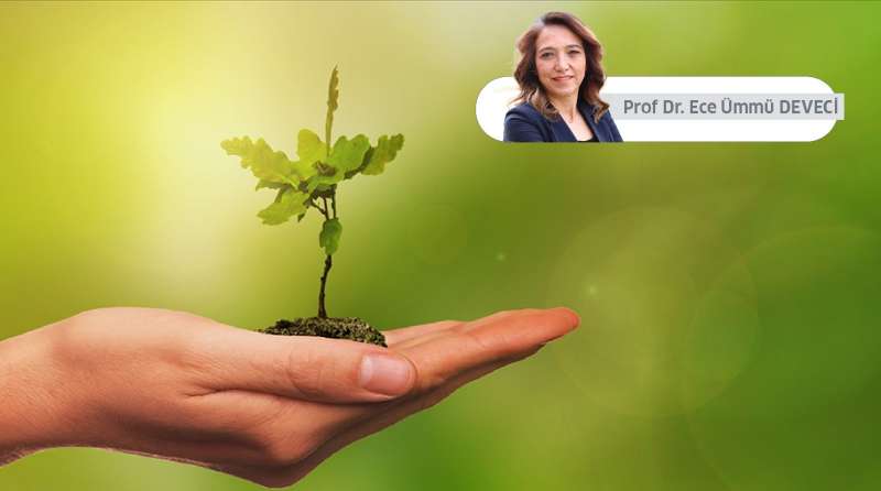 Sıfır Kirlilik Hedefiyle Sanayide Yeşil Dönüşüm: Yönetmelik, Sorumluluklar ve Fırsatlar