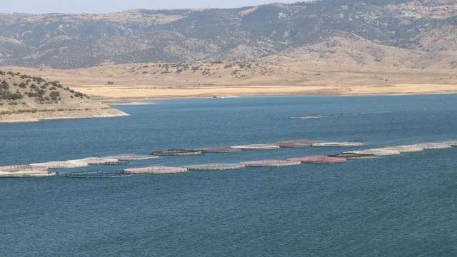 Yozgat’tan Avrupa’ya balık ihracatında büyük başarı