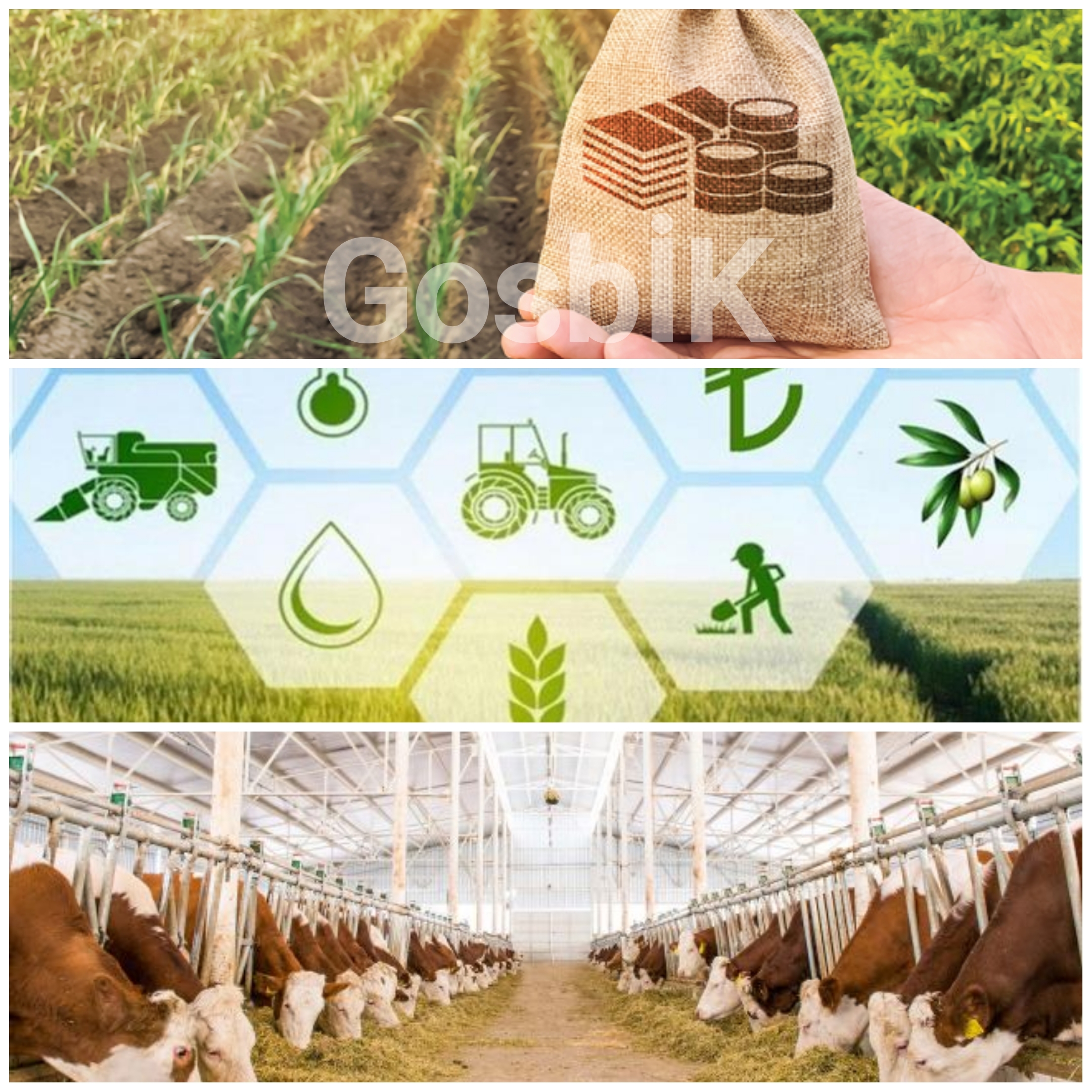 Tarımda Büyük Destek Hamlesi: Çiftçilere 2025 Yılında Hibe Edilen Miktar 6,3 Milyar TL